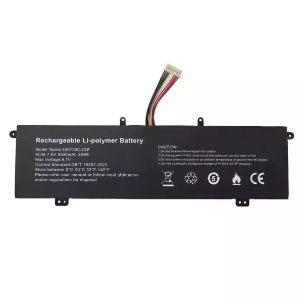 Batteri til bærbar computer 4567250-2SP
